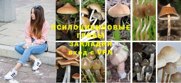 амфетамин Богданович