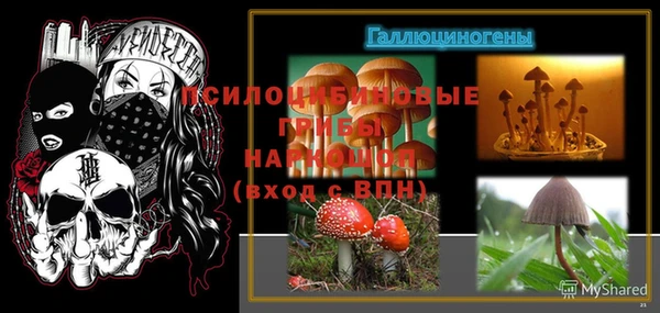 мяу мяу мука Белокуриха