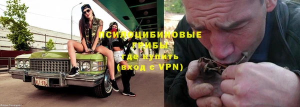 амфетамин Богданович