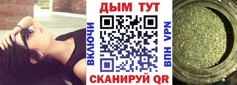 Бошки Шишки MAZAR  Плёс 